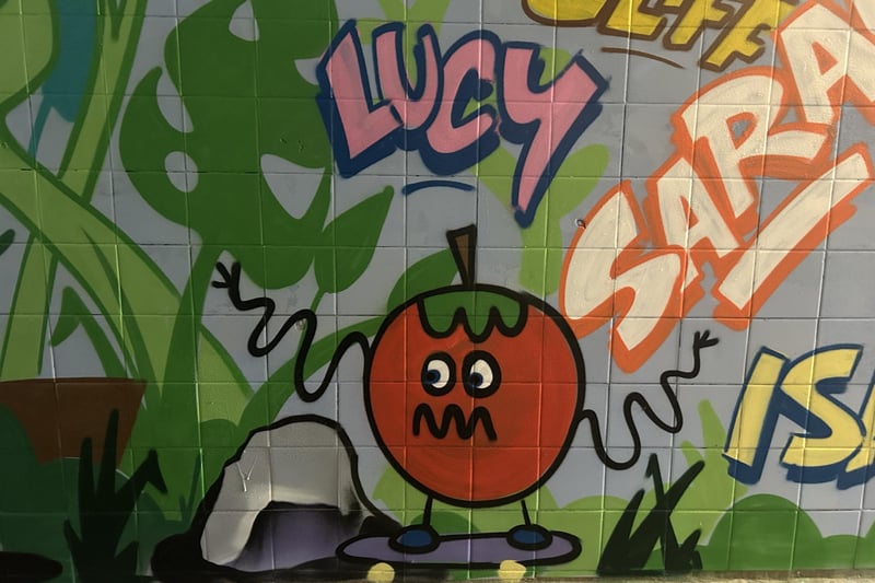 Chris Reeves (Berk) and Mark Jones (Fark) from The Corner Collective in Southsea, have reinvigorated the Washington Road, Emsworth, underpass in a community project funded by Havant Borough Council. Picture by Hollie Busby