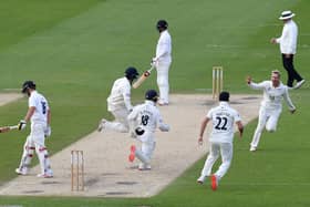 Felix Organ, right, celebrates with Harry Came, wicketkeeper Lewis McManus and Ian Holland after dismissing Phil Salt on the second day of the Bob Willis Trophy match at Hove. Photo by Mike Hewitt/Getty Images.