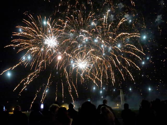 Portsmouth City Council's firework display on Southsea Common
Picture: Chris Moorhouse (jpns 011123-59)