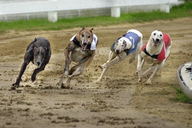 Runners get off to a flying start in the 8-06pm Volkeswagen Golf GTI Challenge race at Tipner Stadium. Picture: Mike Scaddan. 012884_0081