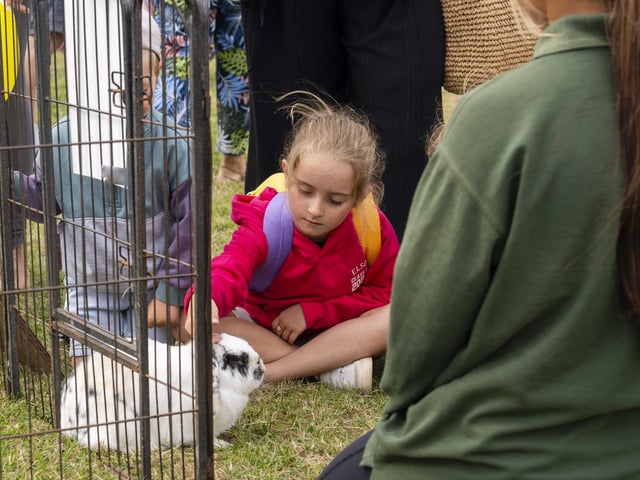 Animal petting at Portchester Gala in Portchester Castle on August 3.