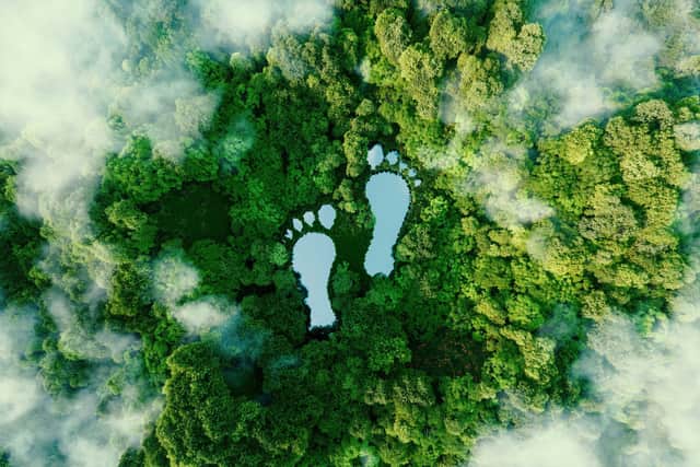 The search is on for 100 businesses to take part in a Shaping Portsmouth environmental project to make the city greener
Picture: Adobe Stock