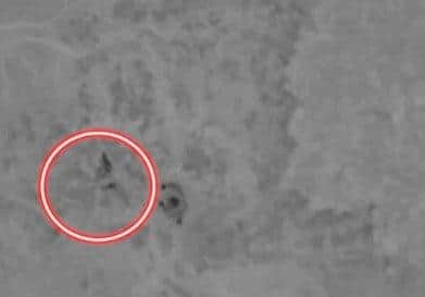Drones detected a wanted suspect hiding in woods, guiding officers to make an arrest in Southampton. Video: Hampshire police