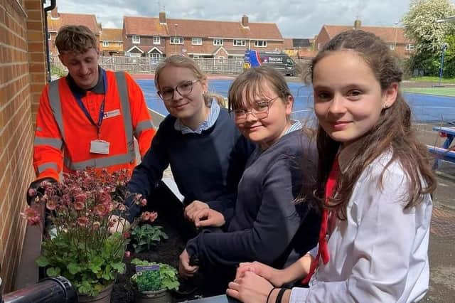 St Alban's School pupils in Havant learning about sustainable drainage systems