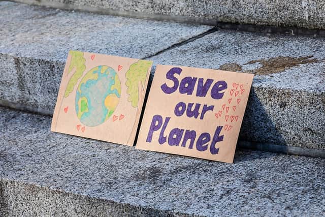 Signs made by children at the Cop26 demonstation. Picture: Mike Cooter (051121)