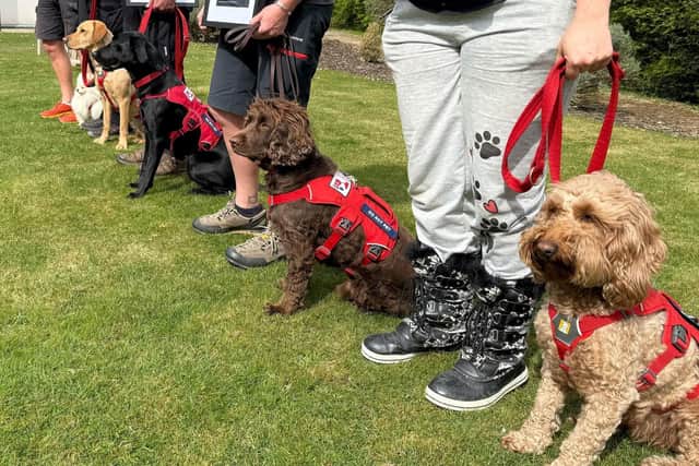 Newly accredited PTSD assistance dogs Gunner, Deputy, Sweep & Freddy stand proudly with their Veterans