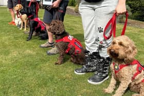 Newly accredited PTSD assistance dogs Gunner, Deputy, Sweep & Freddy stand proudly with their Veterans