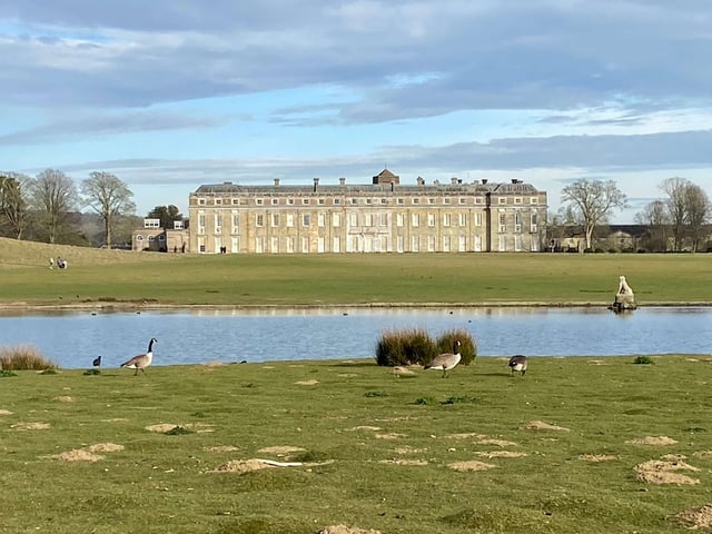 Petworth House & Park