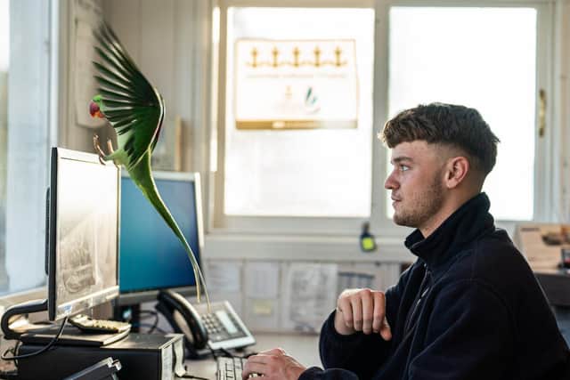 First Beaulieu River apprentice Ollie Rickard with harbour office resident parrot Miguel