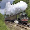  Mayflower 61306. Picture: Dave Ireland