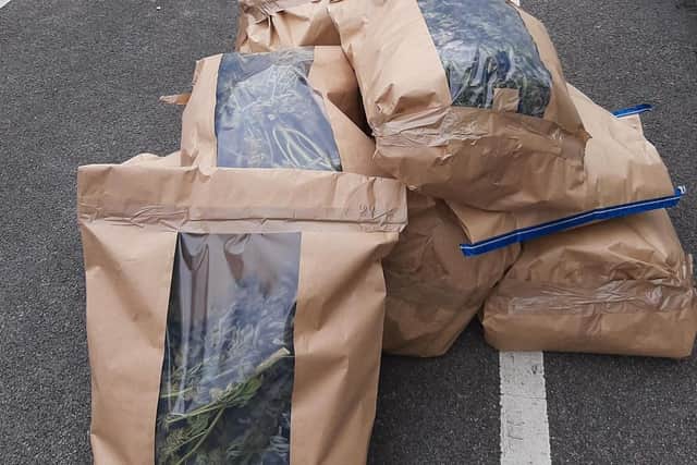 The cannabis seized was worth around £50,000. Picture: Portsmouth Police
