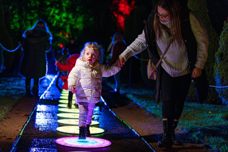 Colourful light-up stepping stones at the Enlightened Staunton trail