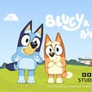 Don’t miss out on meeting Bluey & Bingo at The Watercress Line this summer.