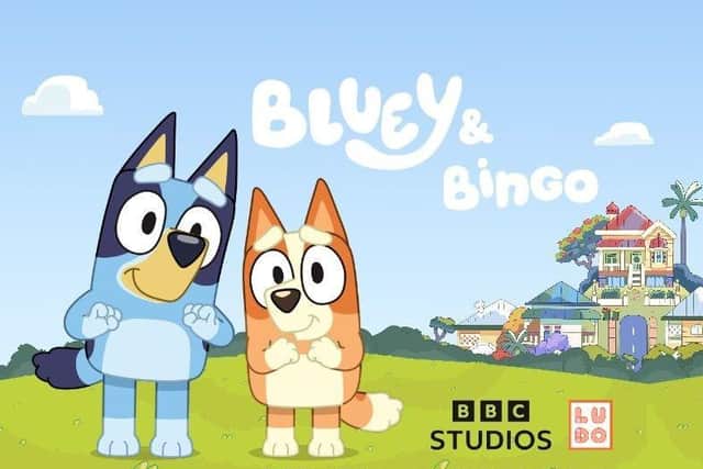 Don’t miss out on meeting Bluey & Bingo at The Watercress Line this summer.