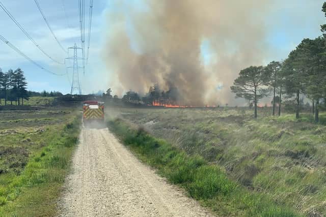 More than 150 fire fighters have been called to tackle the blaze. Picture: Dorset and Wiltshire Fire and Rescue Service.