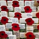 Remembrance poppies are undergoing major changes this year. Picture: Tristan Fewings/Getty Images.