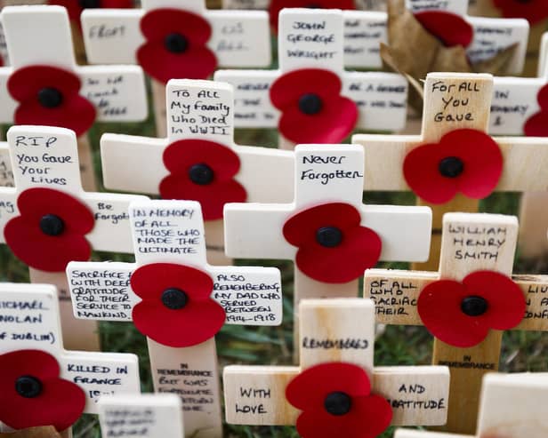 Remembrance poppies are undergoing major changes this year. Picture: Tristan Fewings/Getty Images.