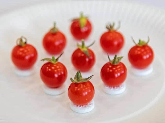 Perfect presentation - assisted by polos. Picture: Mike Cooter (210822)