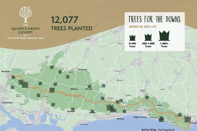 Here's where the trees are planted in the National Park.