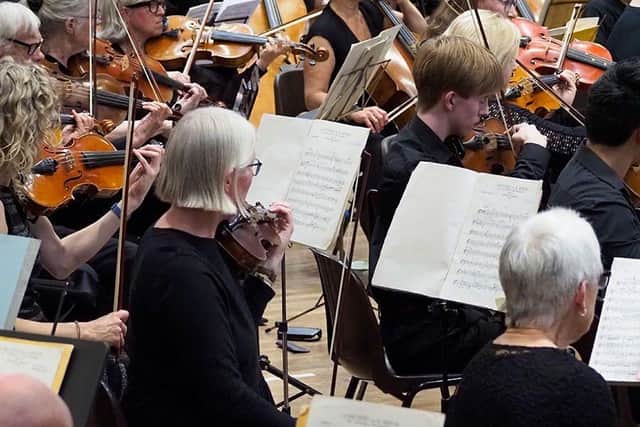 Havant Symphony Orchestra up close