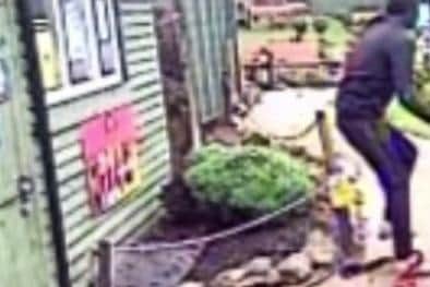 The thug, wearing a dark hoody and jogging bottoms, pictured as he throws a rock at Rooney the car after breaking into Southsea Model Village on Thursday. Photo: Southsea Model Village