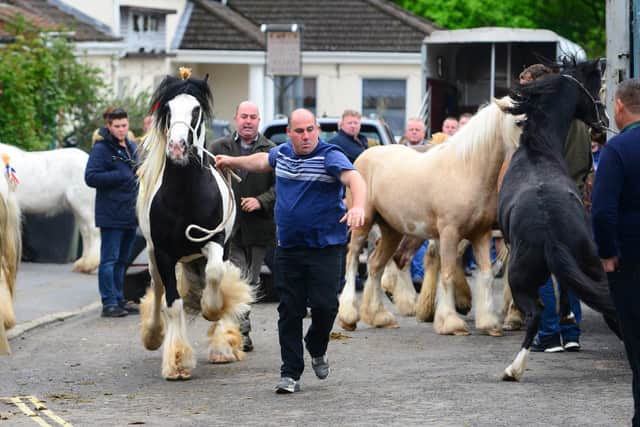 Crowds of travellers defied police today by turning up for an historic horse fair in Wickham which had been cancelled. Picture: Roger Arbon/Solent News & Photo Agency