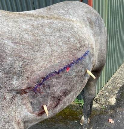 Police are imploring the public for more information. Picture: Hampshire police.