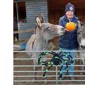 Hayling Island Donkey Sanctuary is set to open for visitors over Halloween weekend. Pictured with volunteer Phill Upshall are retired beach donkeys Ollie and Rusty waiting for some tasty pumpkin