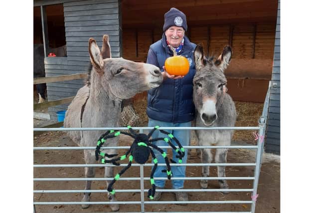 Hayling Island Donkey Sanctuary is set to open for visitors over Halloween weekend. Pictured with volunteer Phill Upshall are retired beach donkeys Ollie and Rusty waiting for some tasty pumpkin