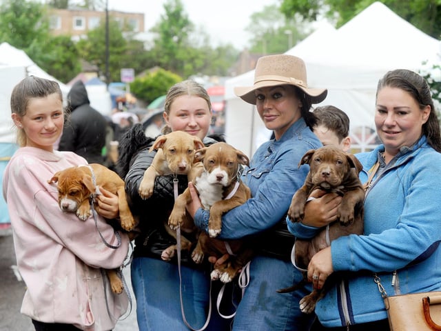 (l-r) Lily, Hollie, Kate and Clare with 12 week old XL Bullies puppies. Picture: Sarah Standing (200522-5601)