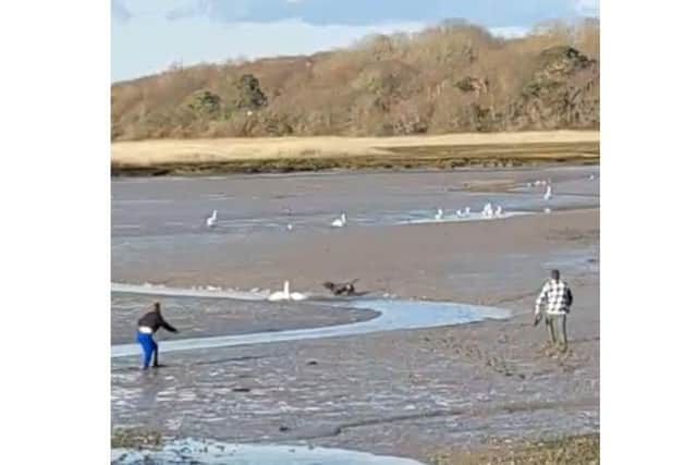 Hampshire and Isle of Wight Constabulary has put this image out in an appeal to speak to the people in the image following a dog attack on swans.