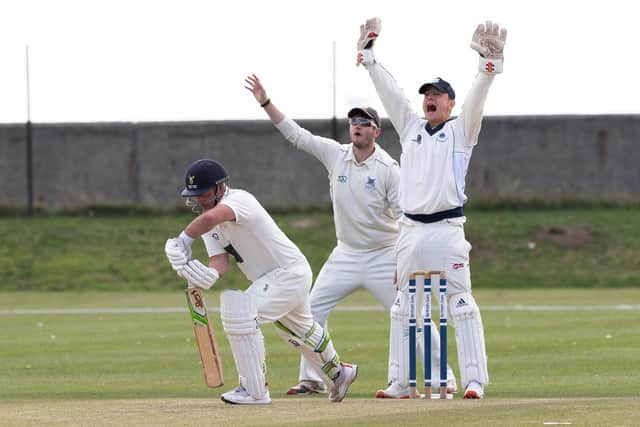 Portsmouth appeal - unsuccessfully - for a leg before decision during their SPL East win against leaders St Cross 2nds. Picture: Keith Woodland