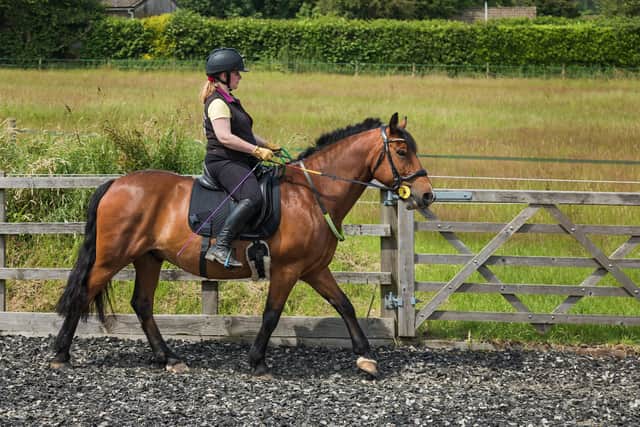 Zoe with Hugo in action. Picture: Mike Cooter (020721)
