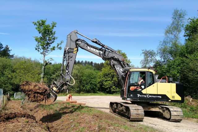 The trees are being relocated as part of the project to create the water reservoir