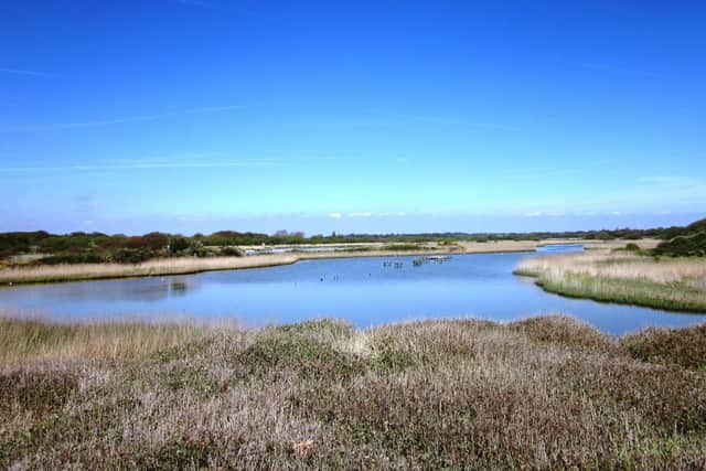 A general view of Titchfield Haven nature reserve. Picture: Leimenide/Flickr