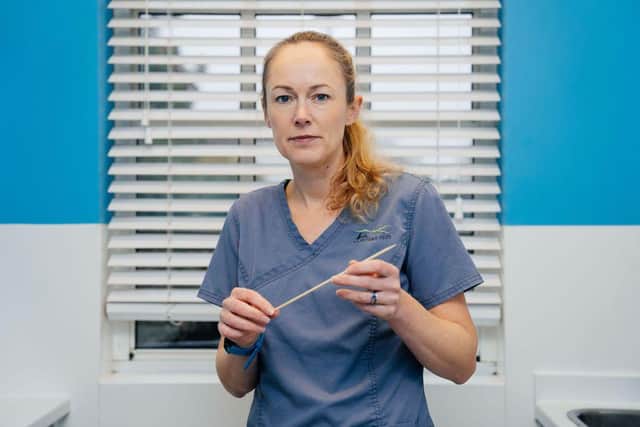 Vet Ruth Brownlee with a wooden kebab skewer similar to the one swallowed by Lily