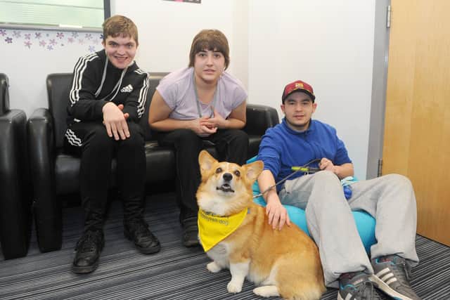 Highbury College in Cosham, are the first college to welcome PAT dogs into their college. Amber the Great Dane and Vodka the Corgi are their new recruits. Tarrel Andrews, 21, Bethany Mayes, 23, and Dean Roberts, 22, with Vodka the seven-year-old Corgi. Picture: Sarah Standing (060320-9642)