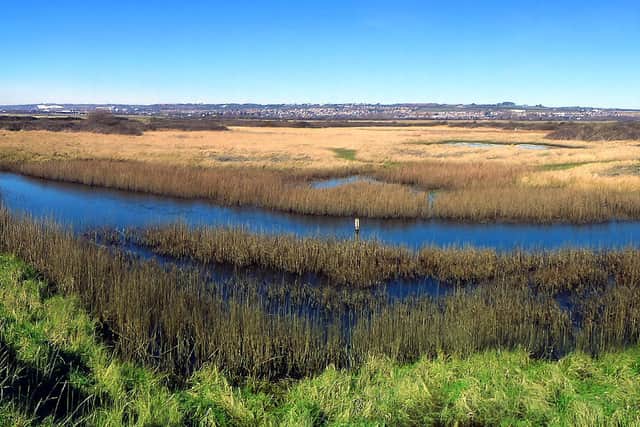A stunning colourful view across Farlington Marshes taken by Albie Somerset