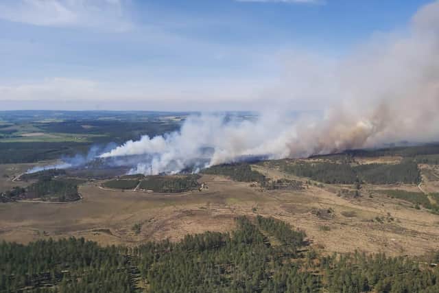 More than 100 hectares of woodland across Wareham Forest, in Dorset, have been affected by the fire. Picture: The National Police Air Service.