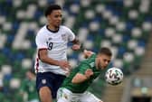 Dion Charles in action for Northern Ireland (Photo by Charles McQuillan/Getty Images)