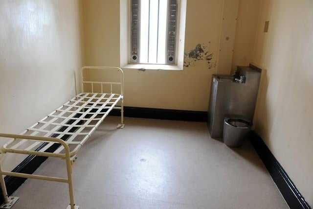 Inside one of the cells