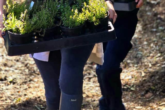 Portsmouth Water and volunteers came together to boost biodiversity at Havant Thicket Reservoir