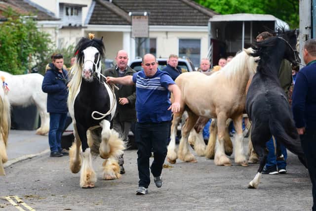 Wickham Horse Fair
© Roger Arbon/Solent News & Photo Agency
UK +44 (0) 2380 458800