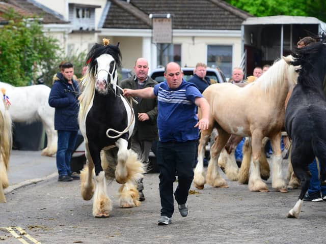 Wickham Horse Fair

© Roger Arbon/Solent News & Photo Agency
UK +44 (0) 2380 458800