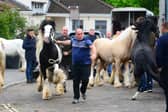 Wickham Horse Fair

© Roger Arbon/Solent News & Photo Agency
UK +44 (0) 2380 458800