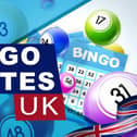 Best bingo sites in the UK: ranked for bonuses, bingo rooms and more – reviewed by PlayTogga