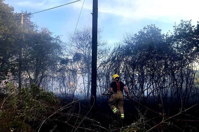 Firefighters tackled 175 blazes in seven days in Hampshire, as the county was gripped by a heatwave.