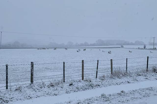 Snowy scene in East Meon. Picture: Lara Clarke