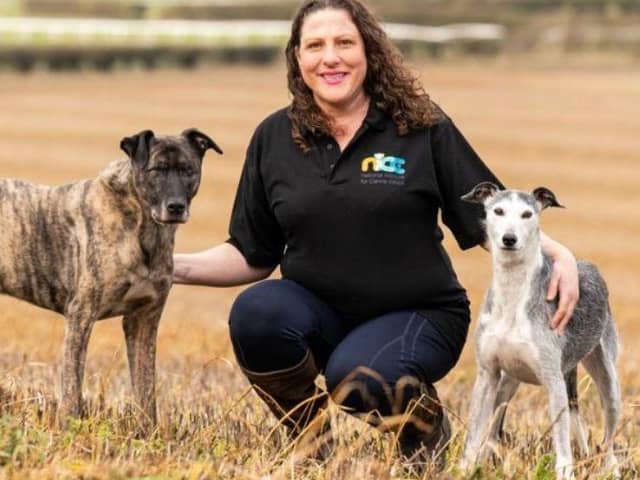 Jo Middleton, owner of Canine Principles - Animal News Agency