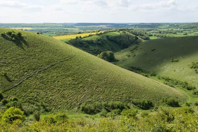 Butser Hill, near Horndean, which is part of the South Downs National Park. Picture: Daniel Greenwood